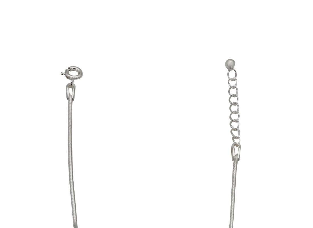 Dolphin Charm Anklet