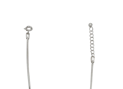 Dolphin Charm Anklet